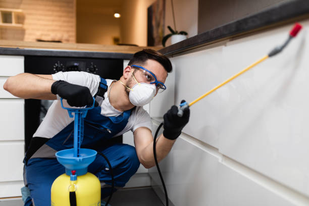 Best Flea Control Services  in Childress, TX