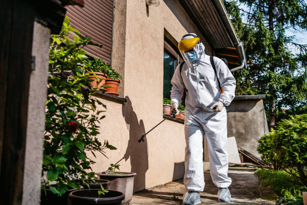Wildlife Control Services in Childress, TX