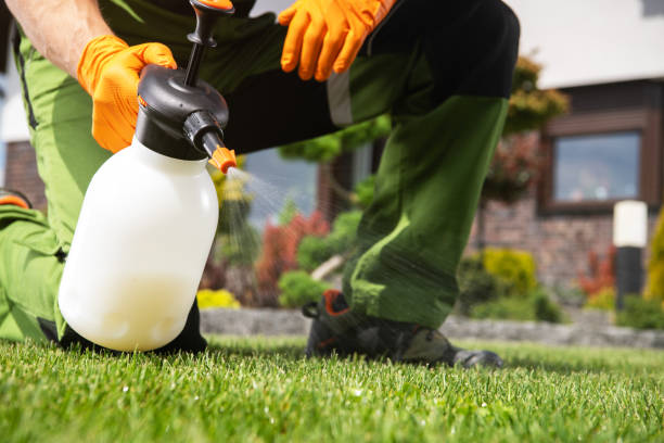 Best Wildlife Control Services  in Childress, TX