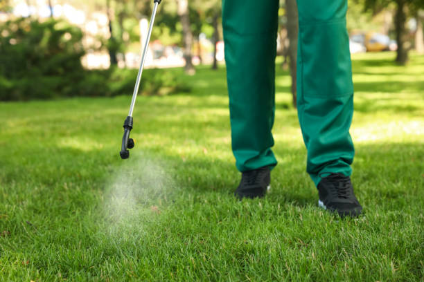 Best Pest Inspection Near Me  in Childress, TX