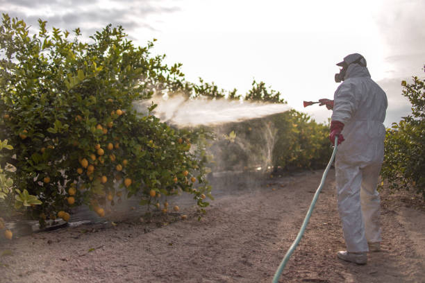 Best Best Pest Control Near Me  in Childress, TX