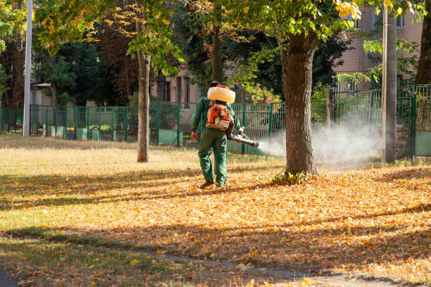 Best Pest Removal Services  in Childress, TX