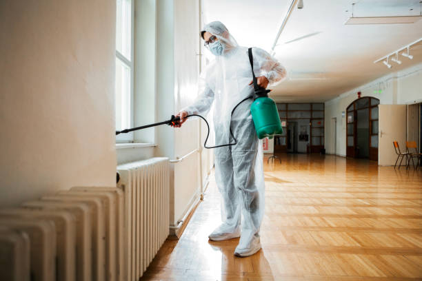 Best Bed Bug Extermination  in Childress, TX