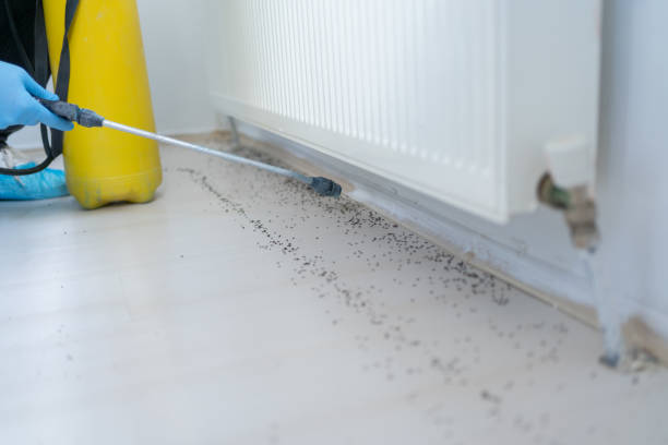 Best Affordable Pest Control Services  in Childress, TX