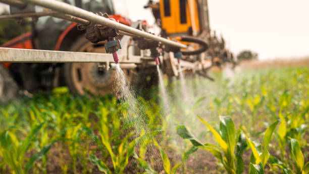 Best Local Pest Control Services  in Childress, TX